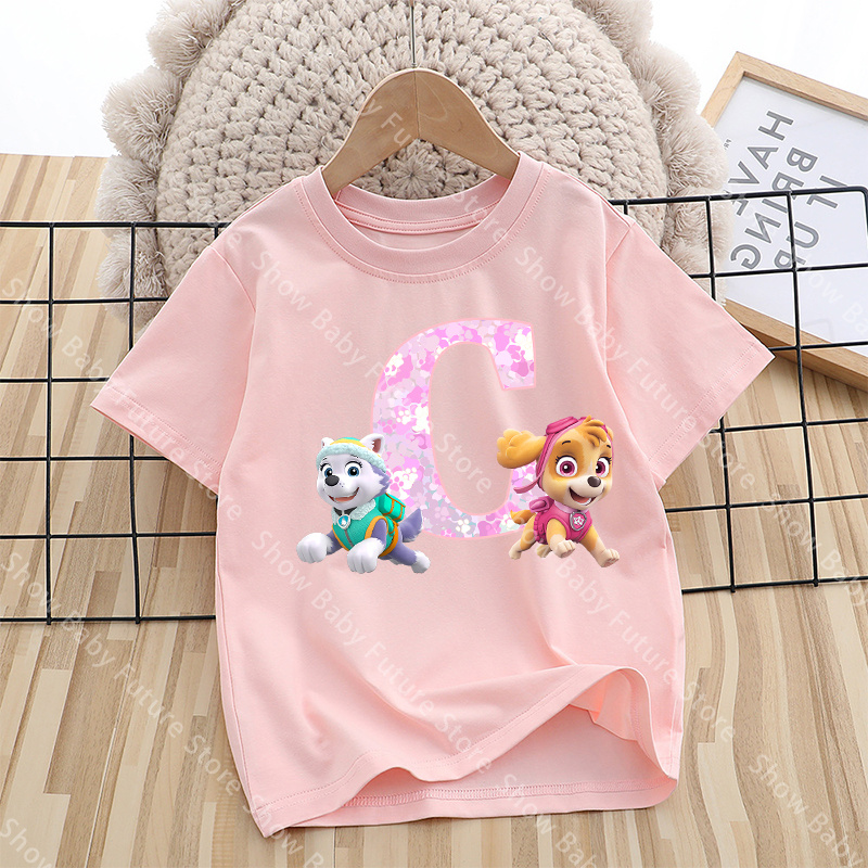 New PAWs Patrols Skye Everest  - Summer Everest Clothing 리뷰 및 가격