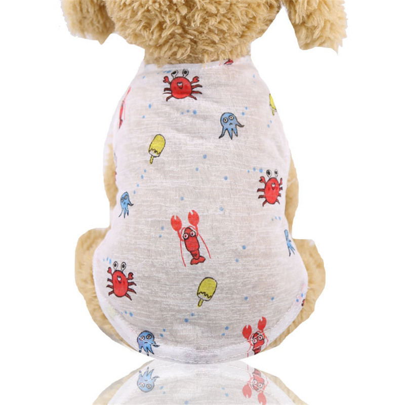 5 Colors Summer Lovely Cartoon - Summer Loving Clothing 리뷰 및 가격