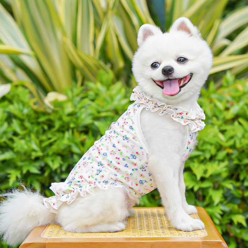 Fashion Floral Dog Dress Dog S - Summer Loving Clothing 리뷰 및 가격