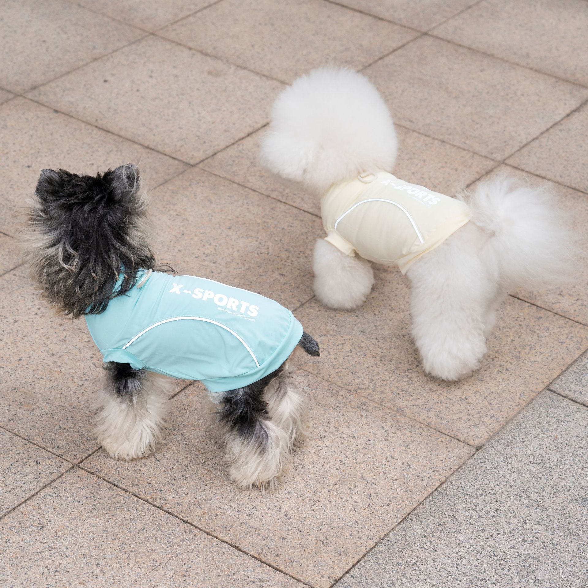 Pet Dog Clothing For Spring Su - Summer Clothing Cheap 리뷰 및 가격
